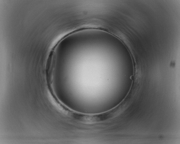 X0000113370795200909221222