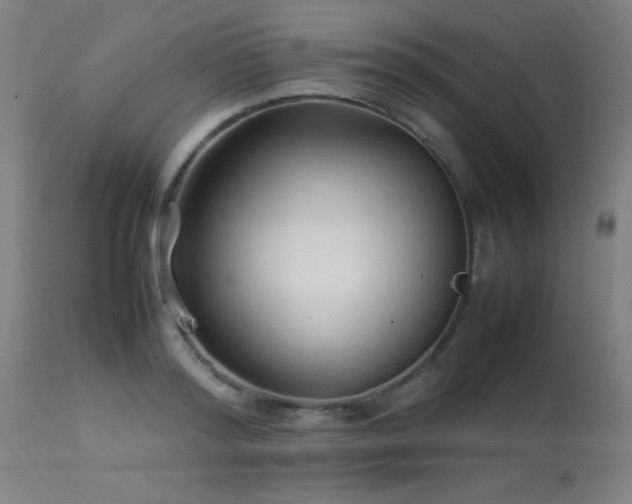 X0000113370796200909221222
