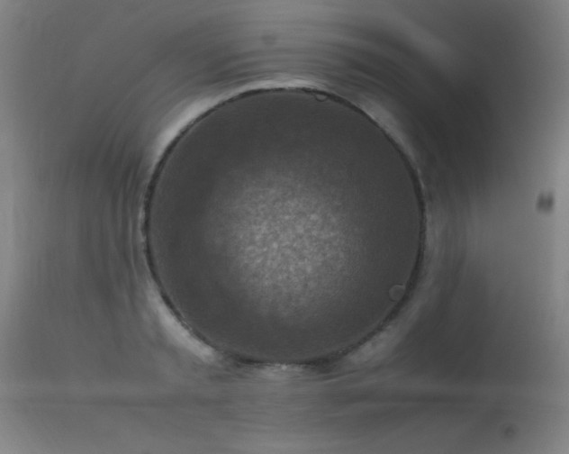 X0000113370797200909221222