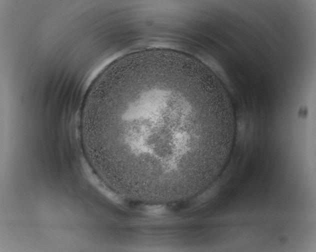 X0000113370798200909221222
