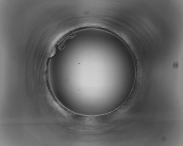 X0000113370799200909221222
