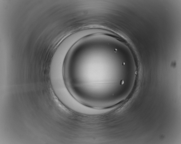 X0000113370801200909221222