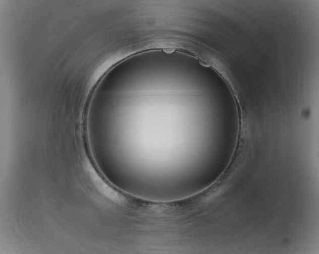 X0000113370803200909221222