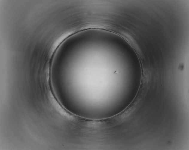 X0000113370804200909221222