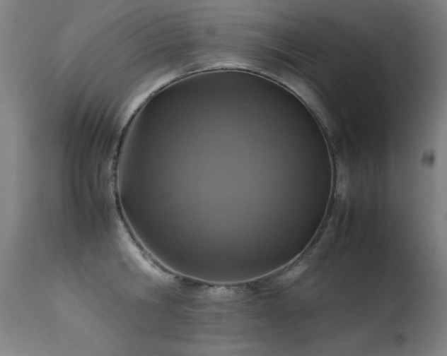 X0000113370806200909221222