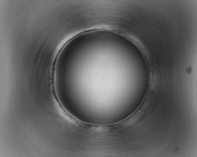 X0000113370808200909221222