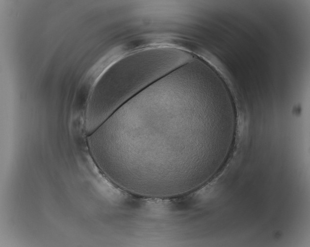 X0000113370809200909221222