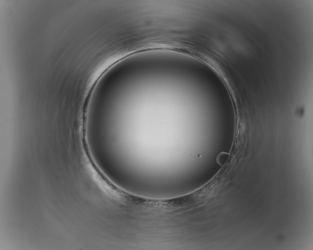 X0000113370811200909221222