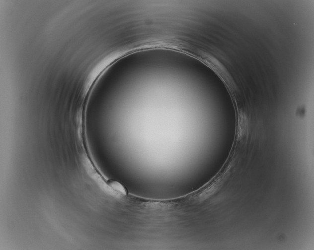 X0000113370812200909221222