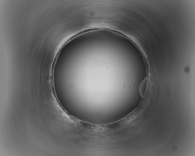 X0000113370815200909221222