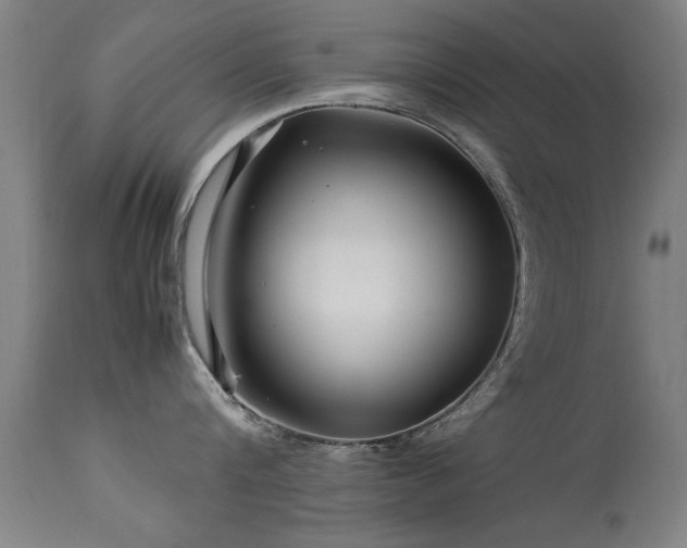 X0000113370816200909221222