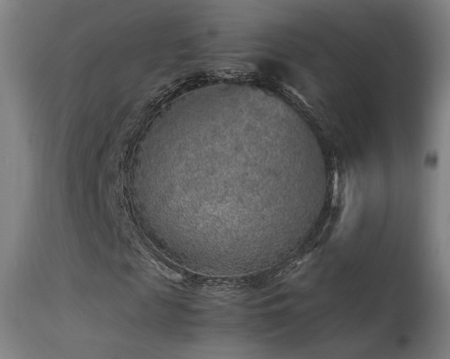 X0000113370817200909221221