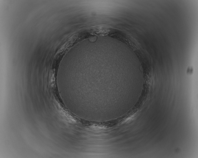 X0000113370818200909221221