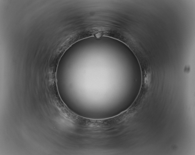 X0000113370819200909221221