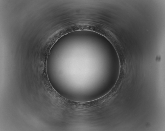 X0000113370821200909221221