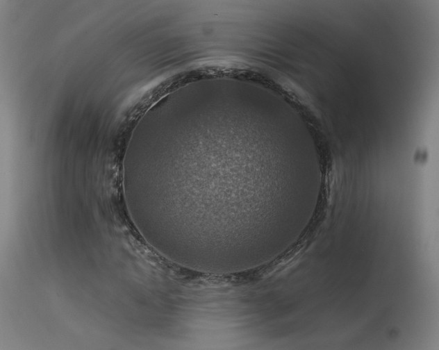 X0000113370822200909221221