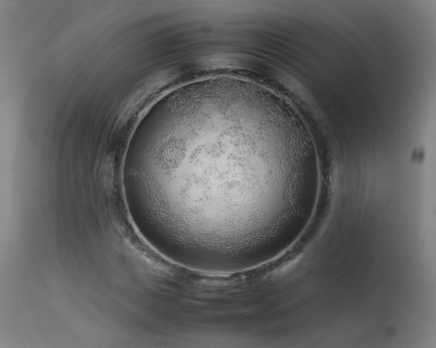 X0000113370825200909221221
