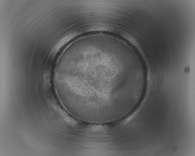 X0000113370826200909221221