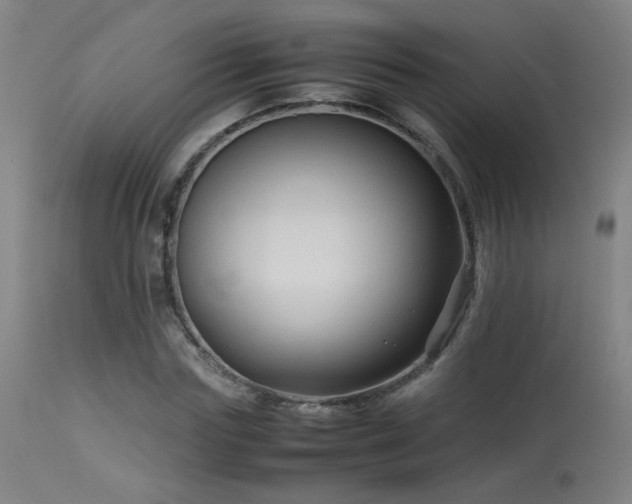 X0000113370827200909221221