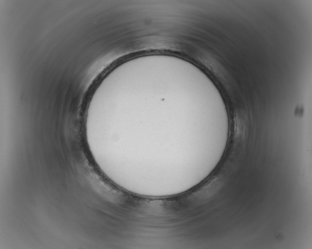 X0000113370828200909221221