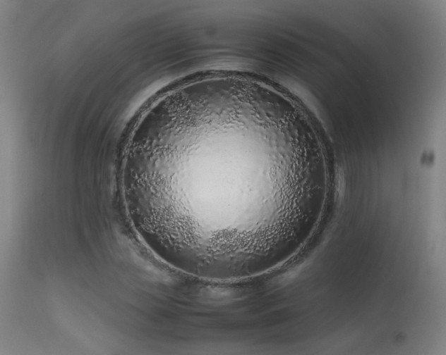 X0000113370829200909221221