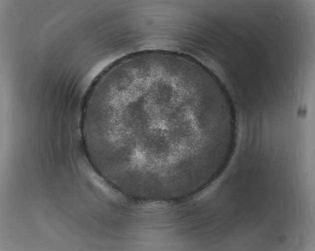 X0000113370830200909221221