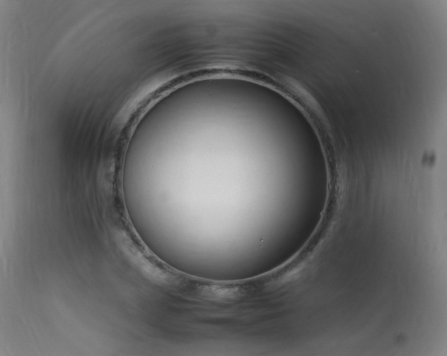 X0000113370831200909221221