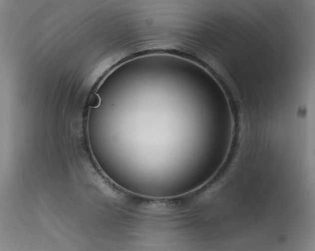 X0000113370834200909221221
