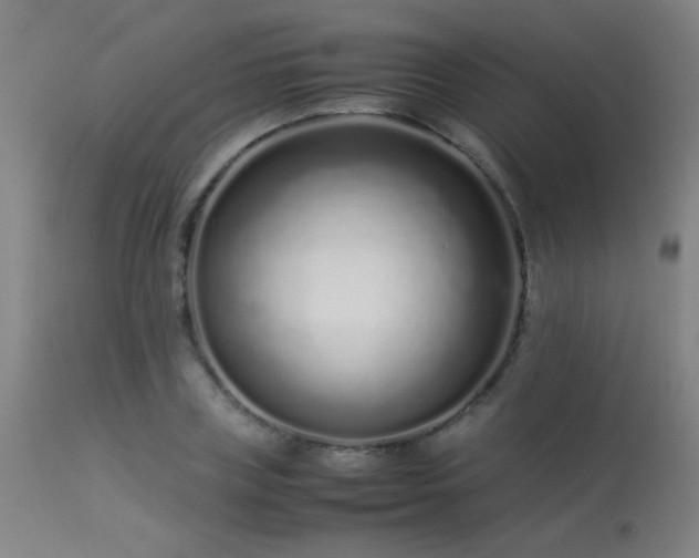 X0000113370835200909221221