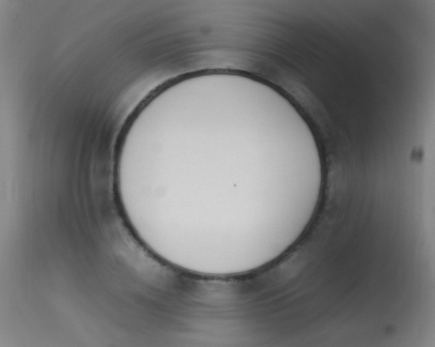 X0000113370836200909221221