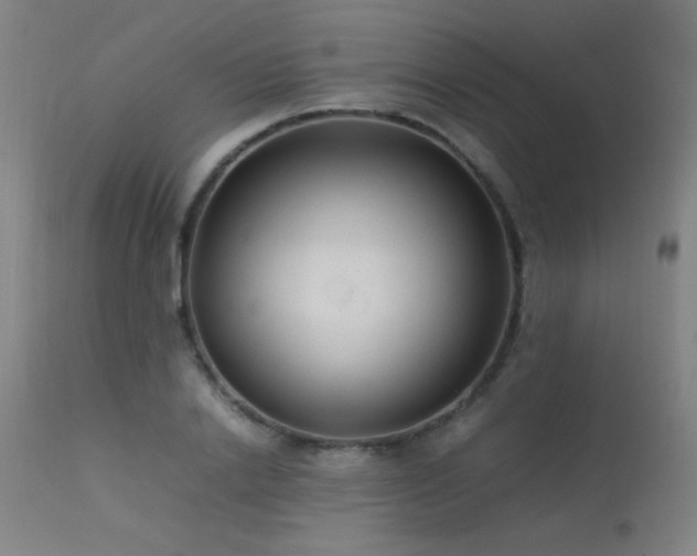 X0000113370838200909221221
