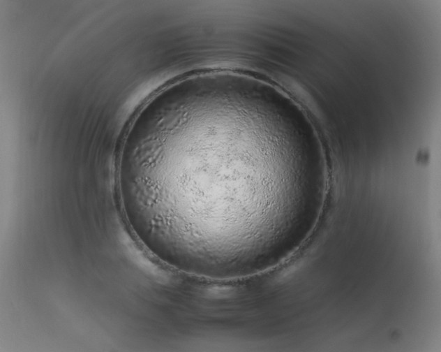 X0000113370839200909221221