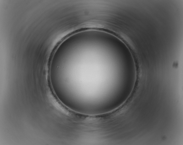X0000113370840200909221221