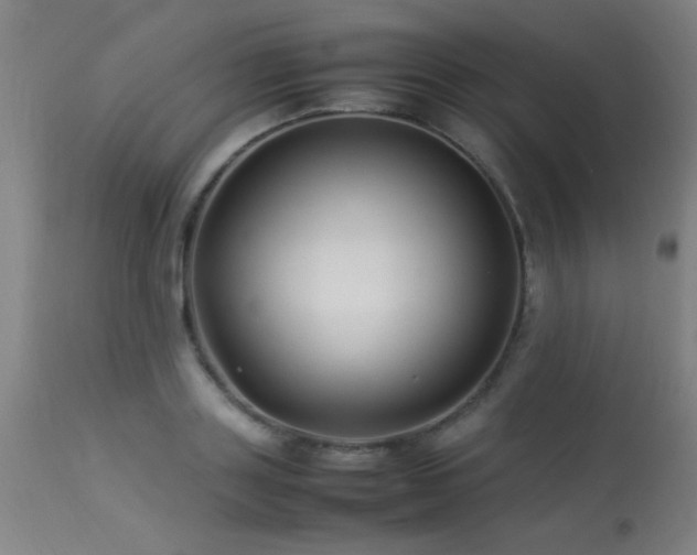 X0000113370843200909221221