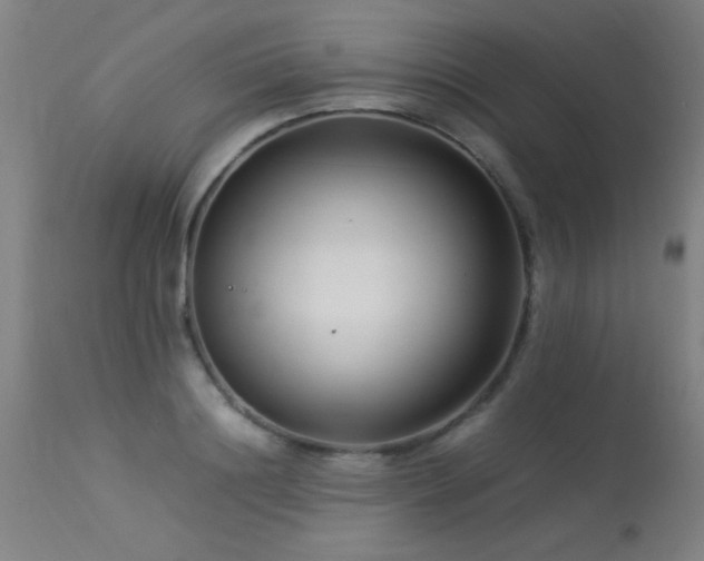 X0000113370844200909221221