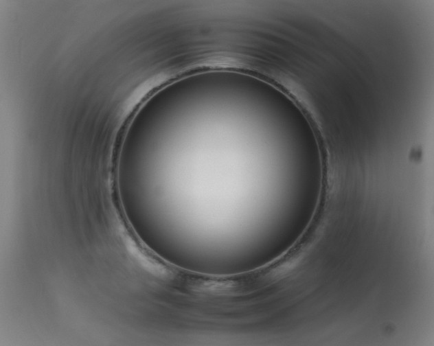 X0000113370845200909221221