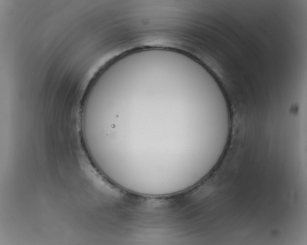 X0000113370848200909221221