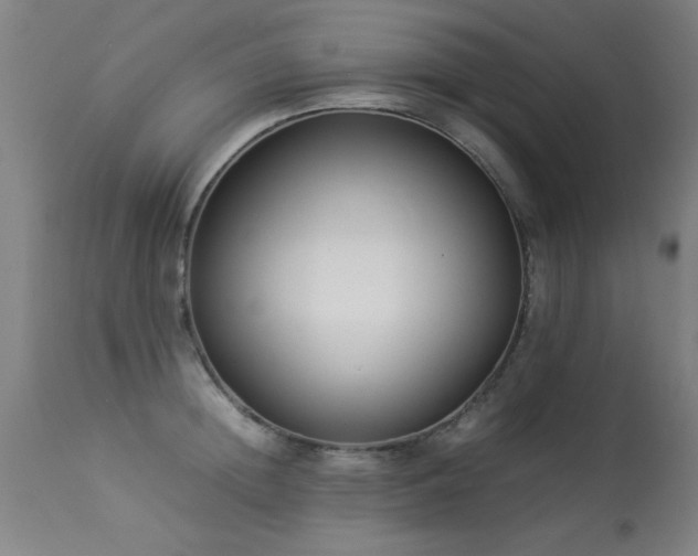 X0000113370852200909221221
