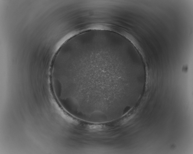 X0000113370853200909221221