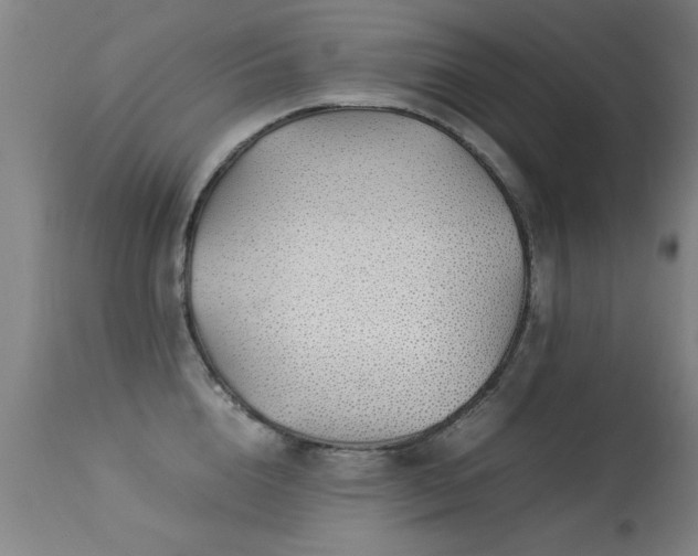 X0000113370856200909221221
