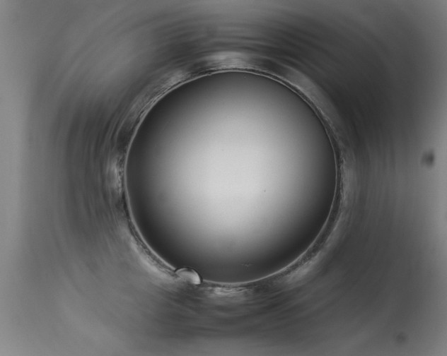 X0000113370857200909221221