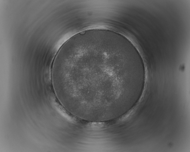 X0000113370858200909221222
