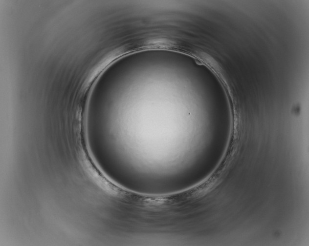 X0000113370859200909221222