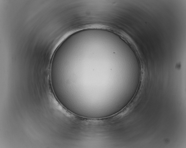 X0000113370860200909221222