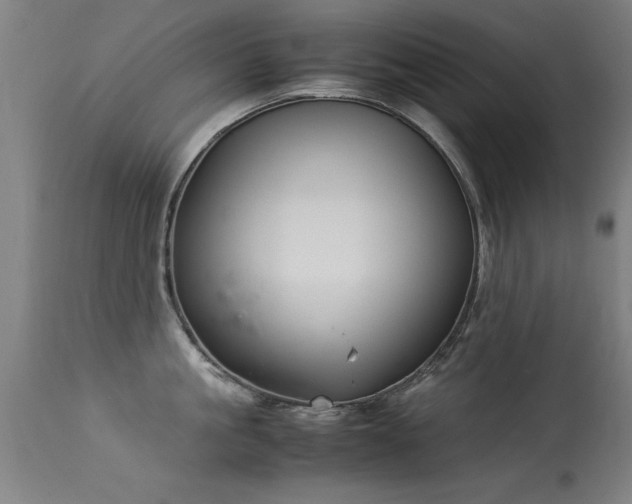 X0000113370861200909221222