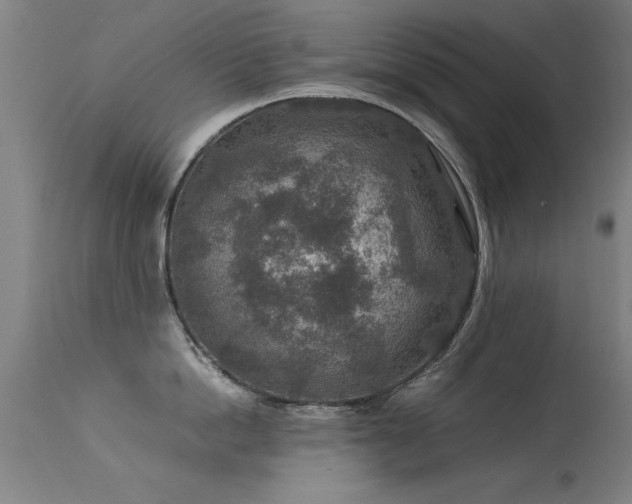 X0000113370862200909221222