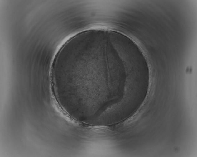 X0000113370864200909221222