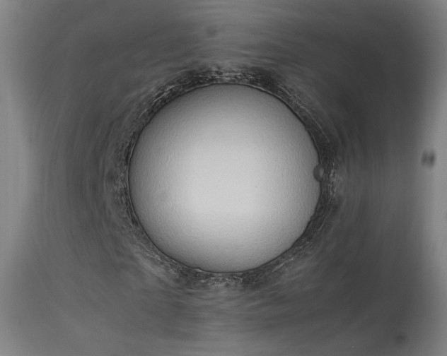 X0000113370865200909221221