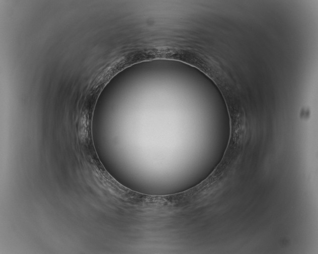 X0000113370866200909221221