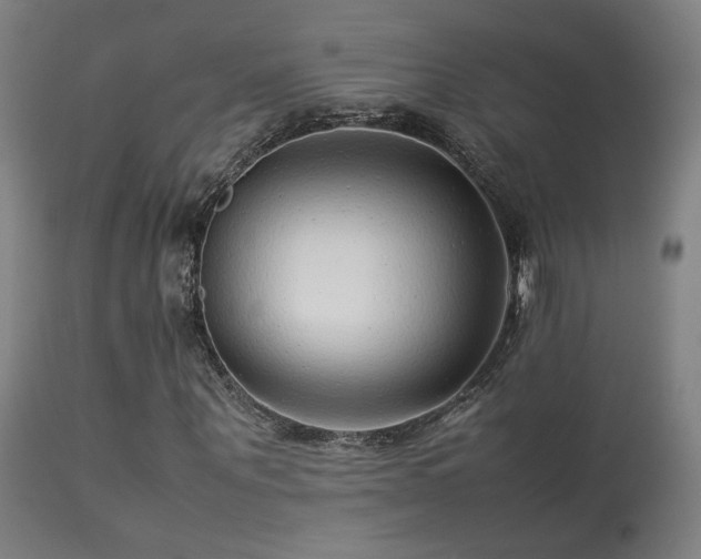 X0000113370867200909221221